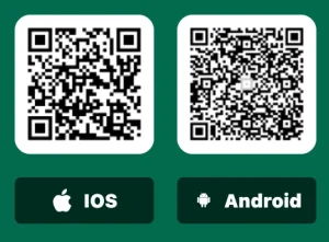 BDTK66 QR Codes iOS Android